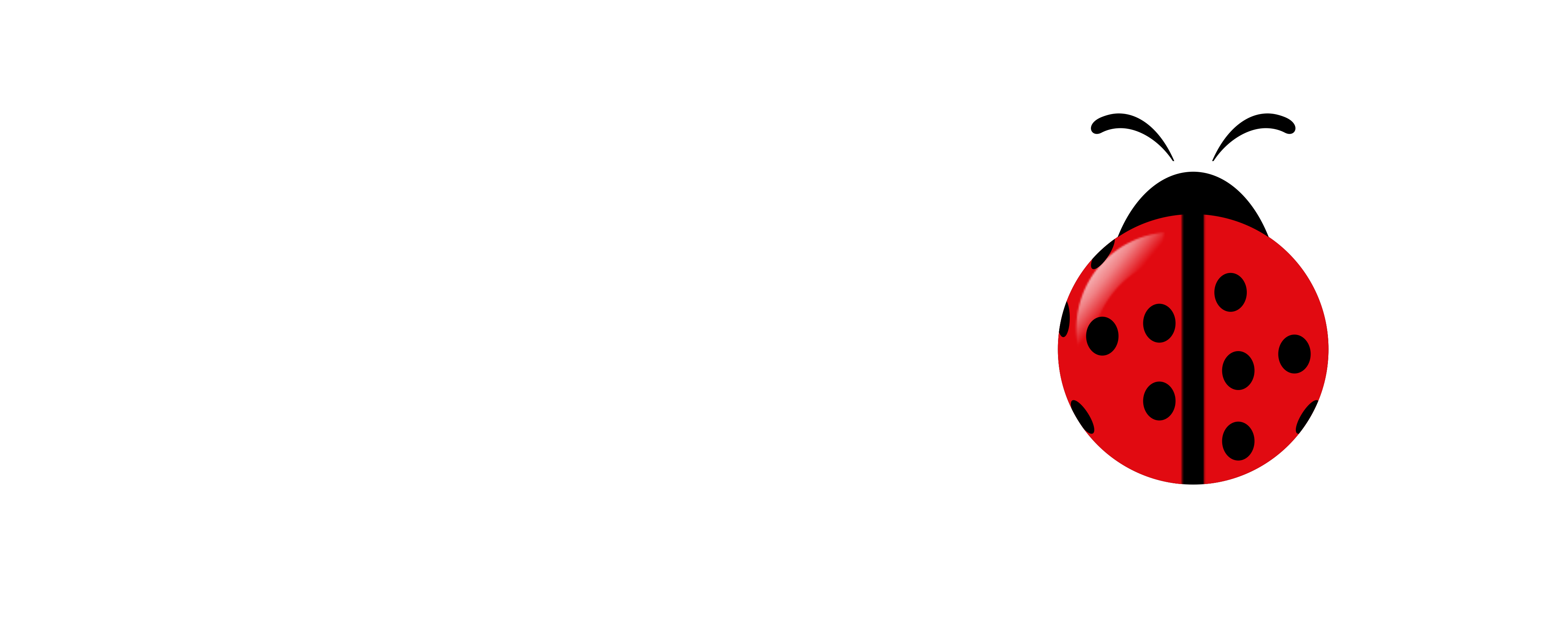 ladybugcleaningco.com