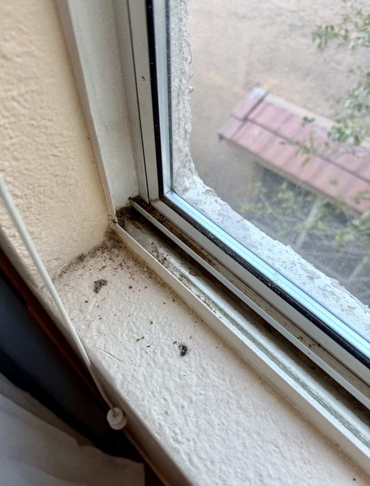 Deep cleaning example photo